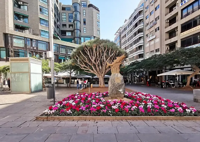 Apartment Home2book Design Black & White Cruz